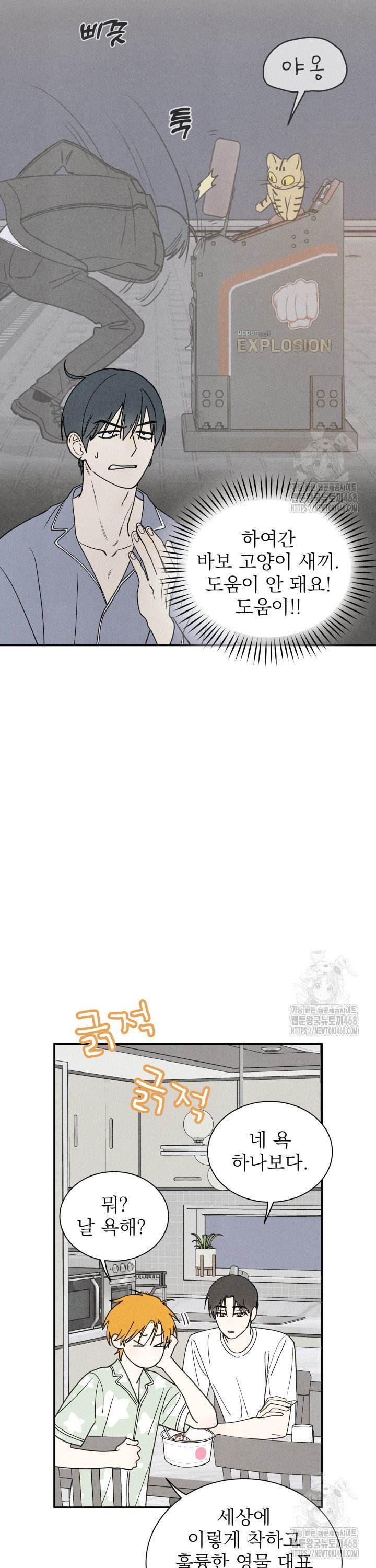 1740151933286sk0sdfm6nt8.jpg