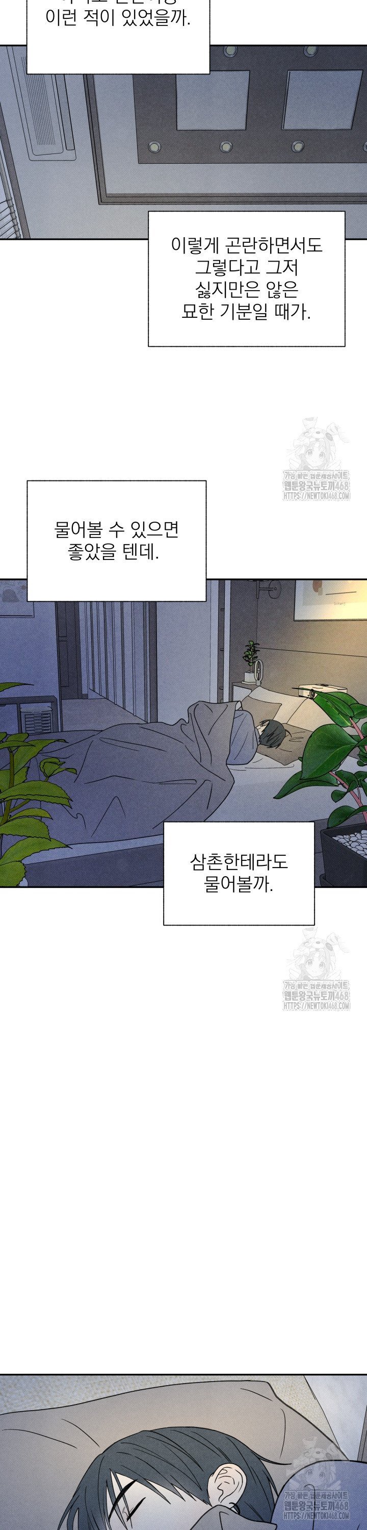 1740151940154n966x6lldh.jpg