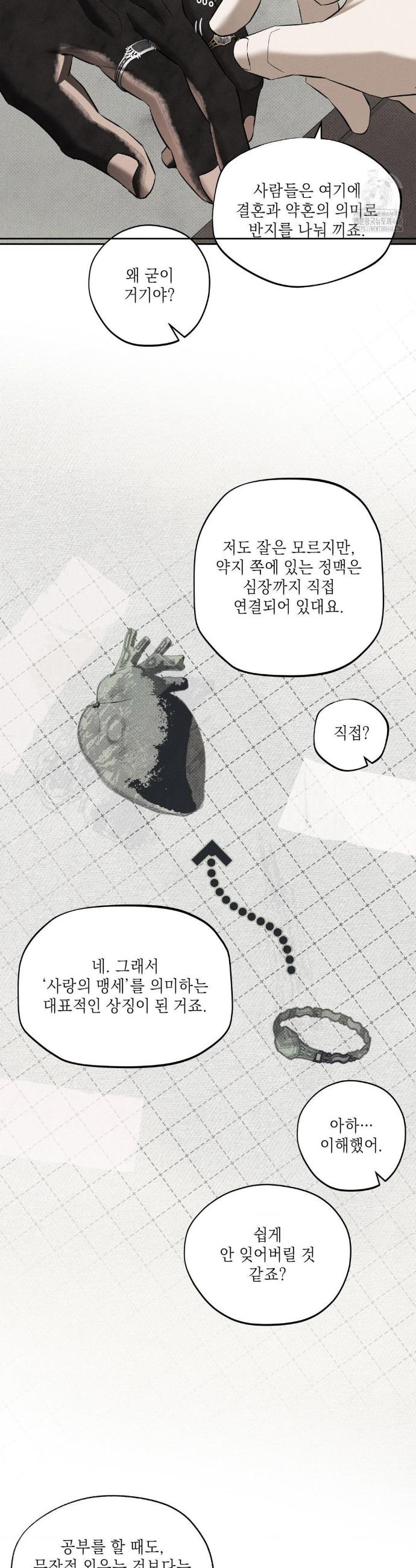 17401528041051crmf7vju8y.jpg
