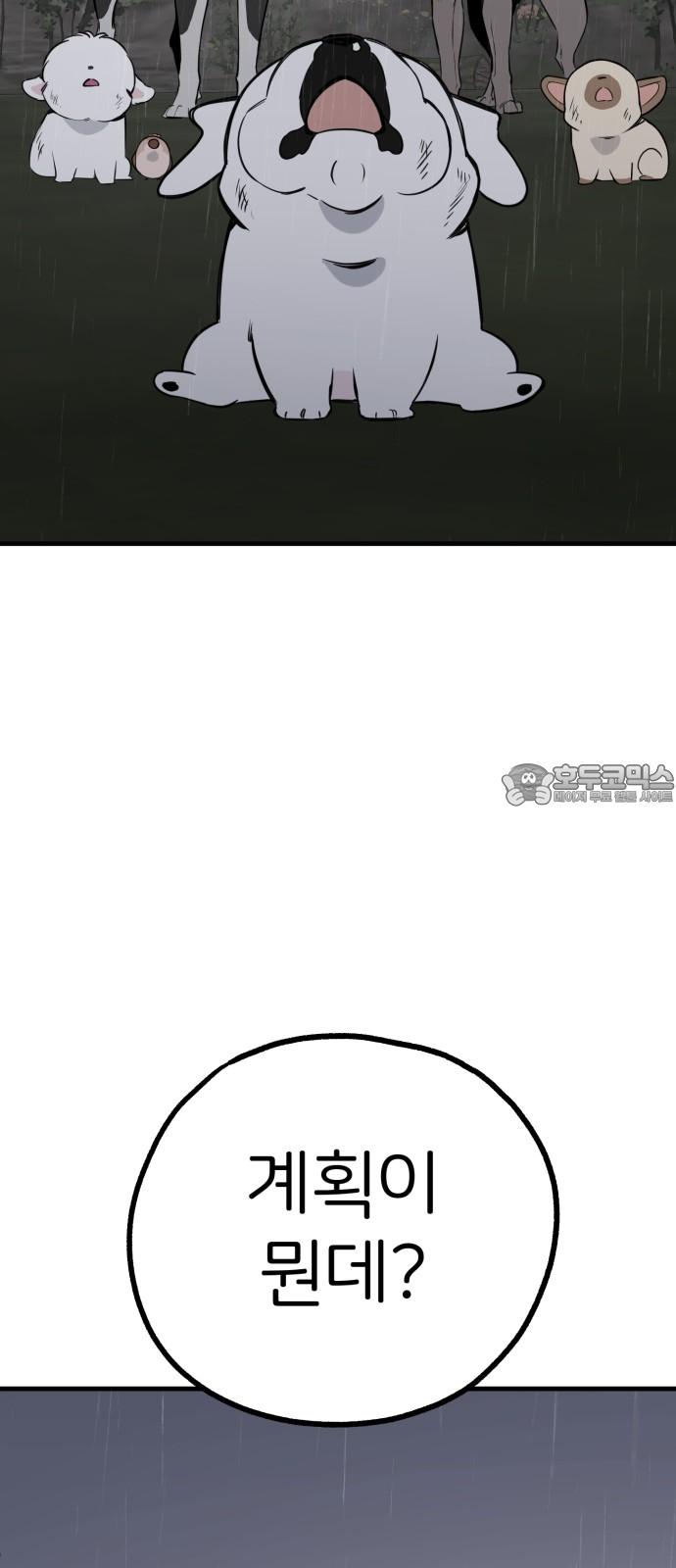 1740352168506wg2anqpuzc.jpg