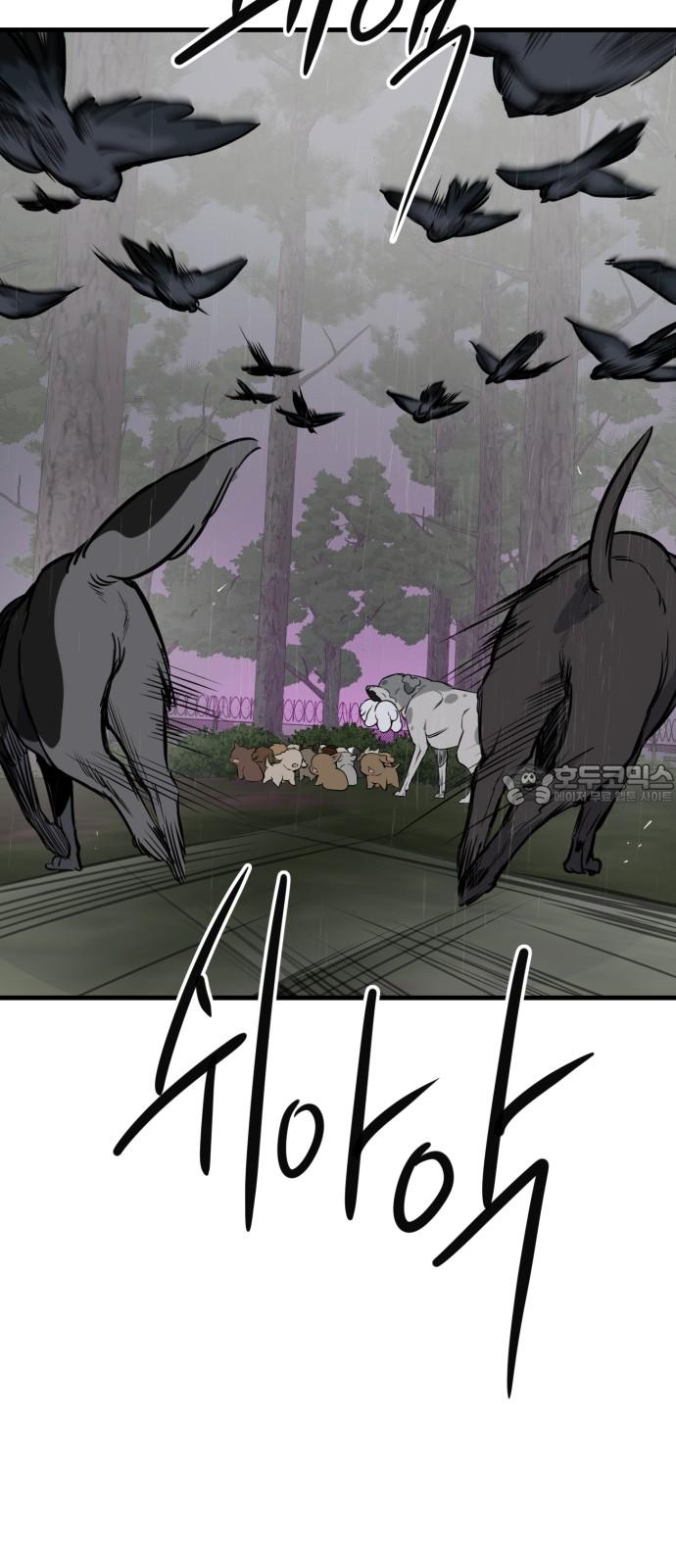174035217785571m1ljjaiyj.jpg