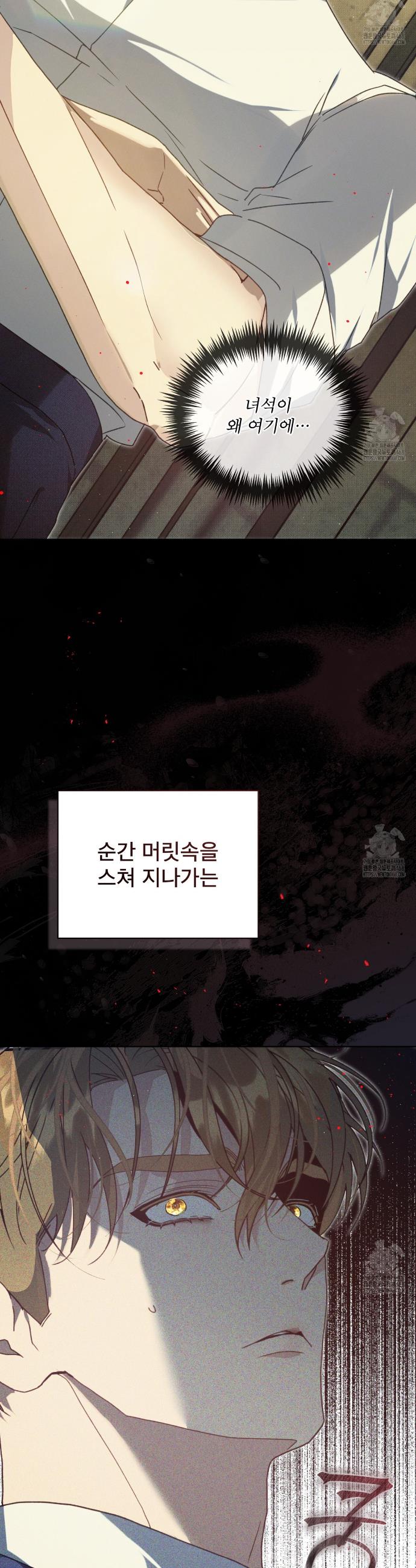 1740410801445j5qvrhyfekn.jpg