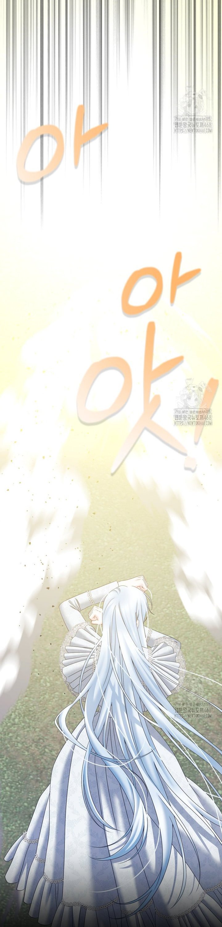 1740544334161tqftu2jaxxn.jpg
