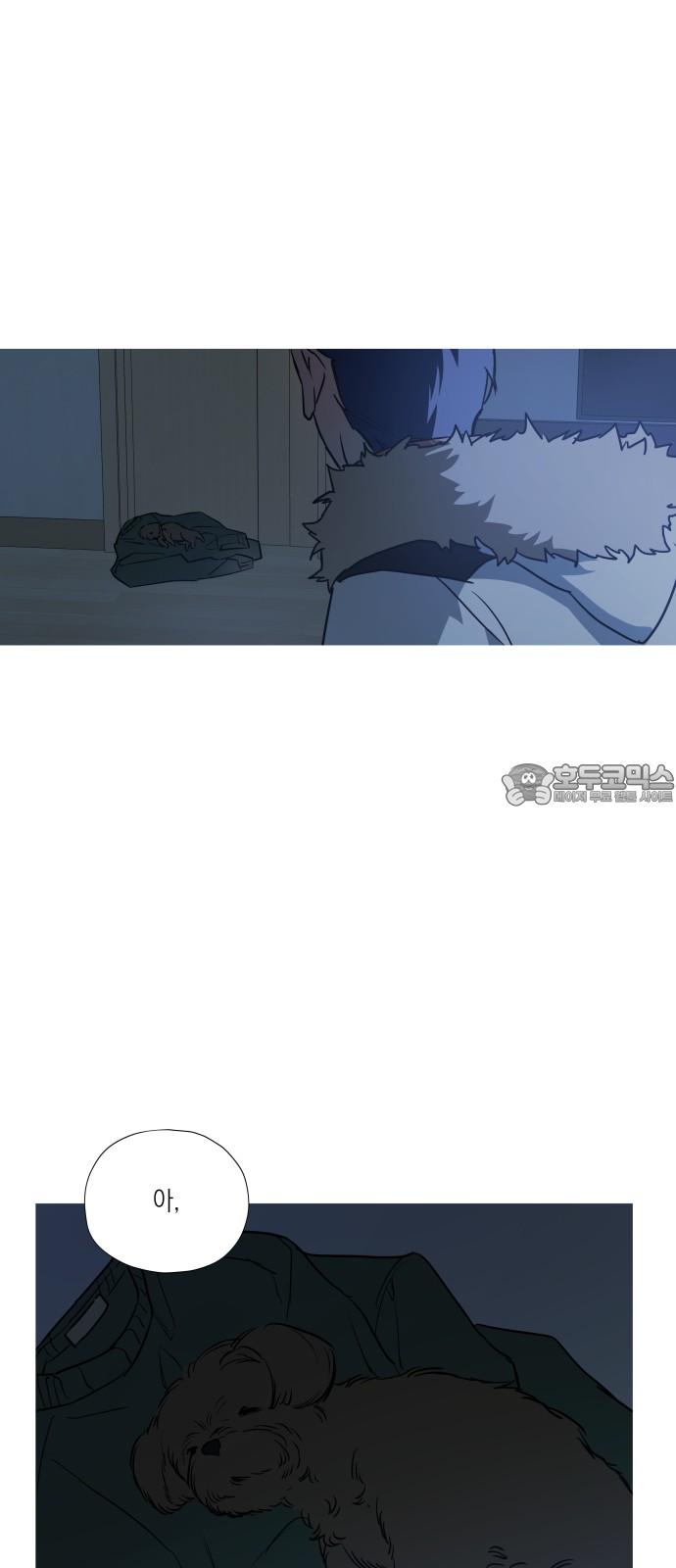 1740605515160om4eck9cd1o.jpg
