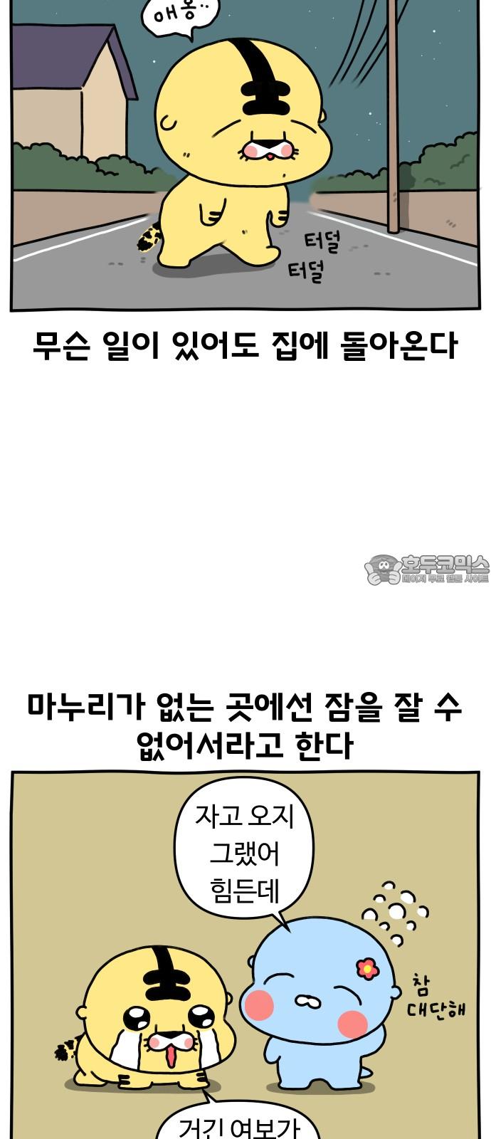 1740669501605vp30ndmu8dl.jpg