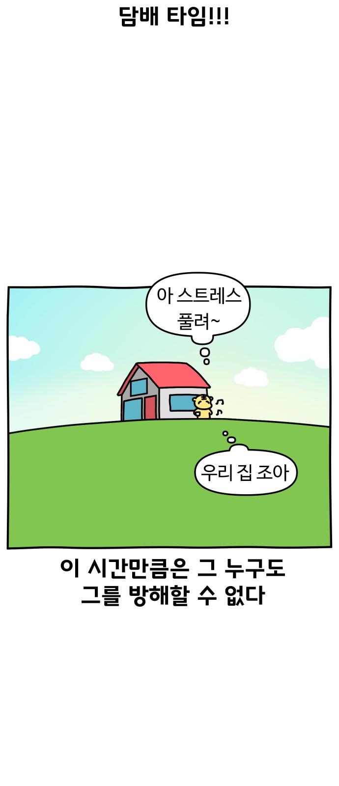 17406695022316asem6hgnan.jpg