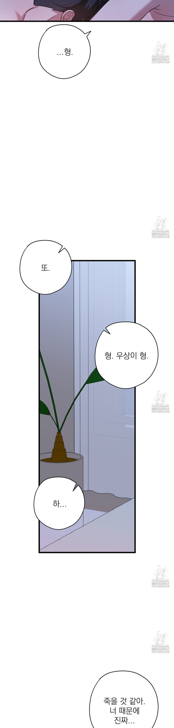 1740714788803giohik00m9i.jpg