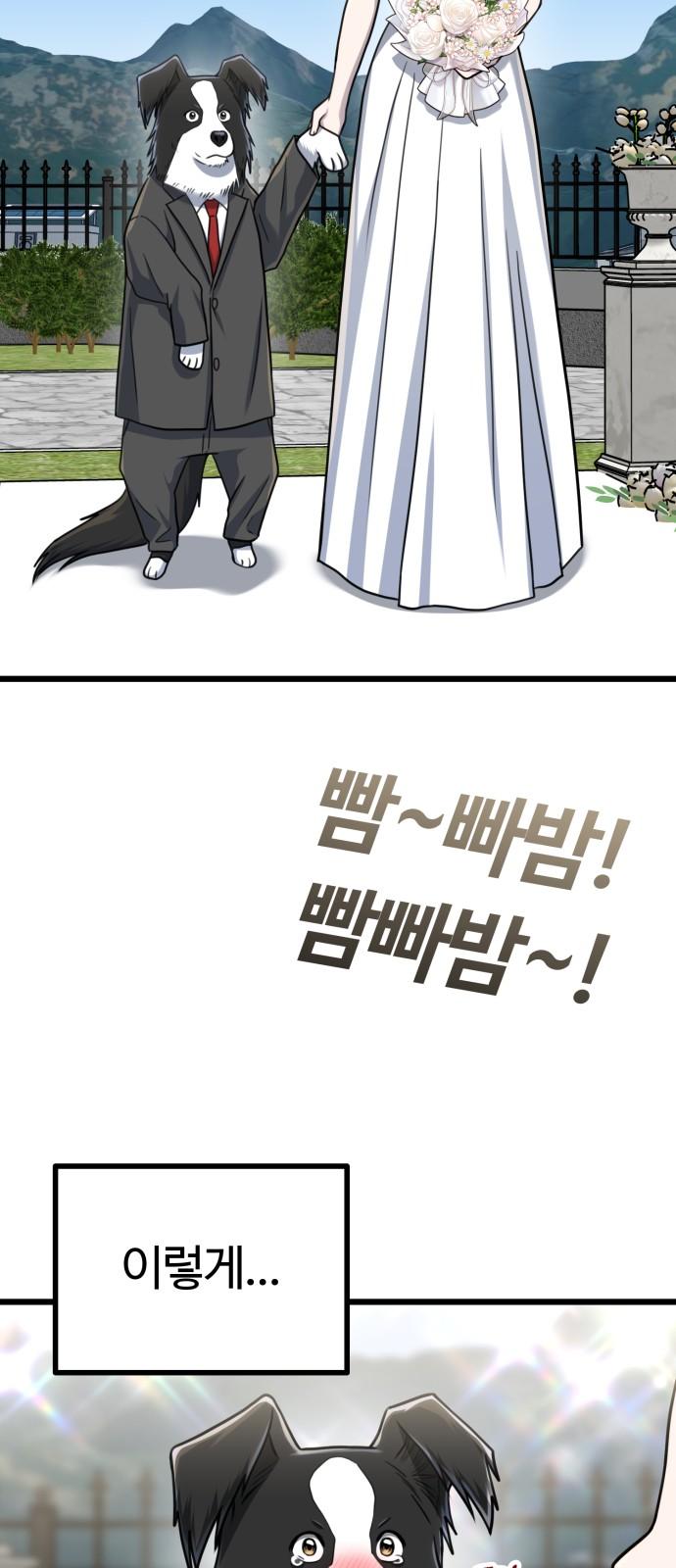 1738625173269kasa7vvwmde.jpg