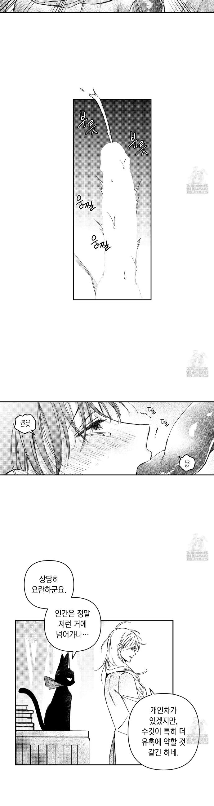 1738790603658xawdybg1nec.jpg