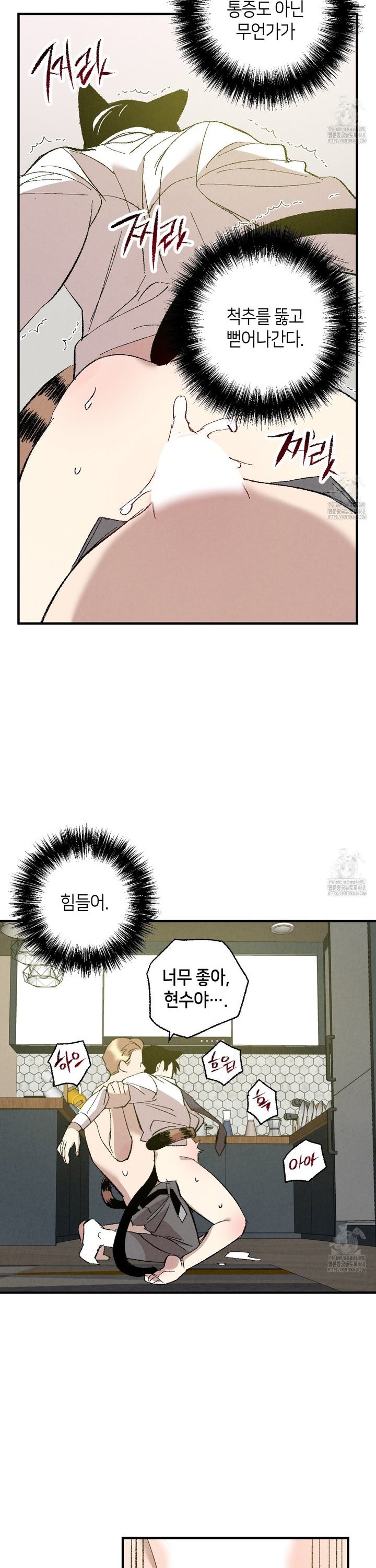 1738789749209px6qsbfnmt.jpg