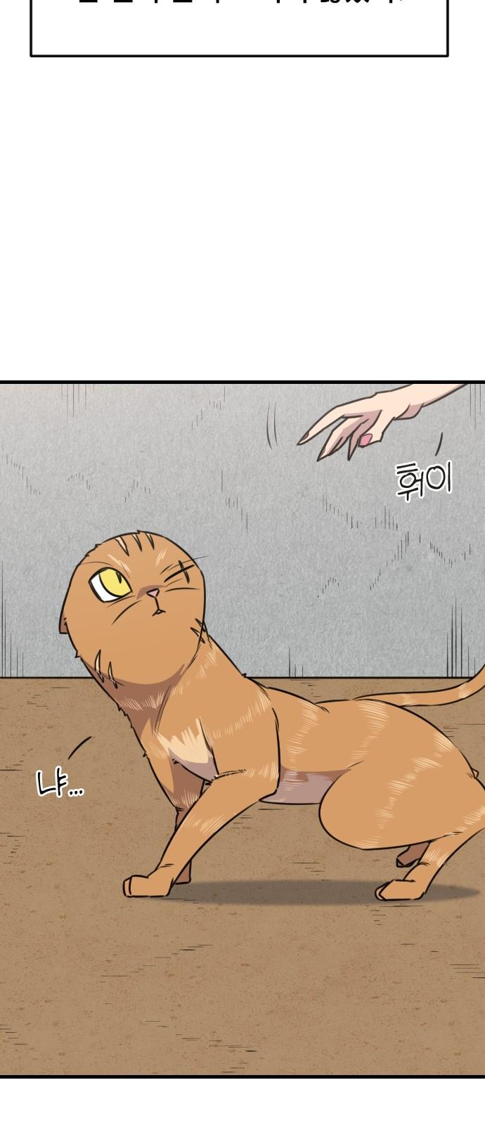1738888060083oog0ls8aqoi.jpg