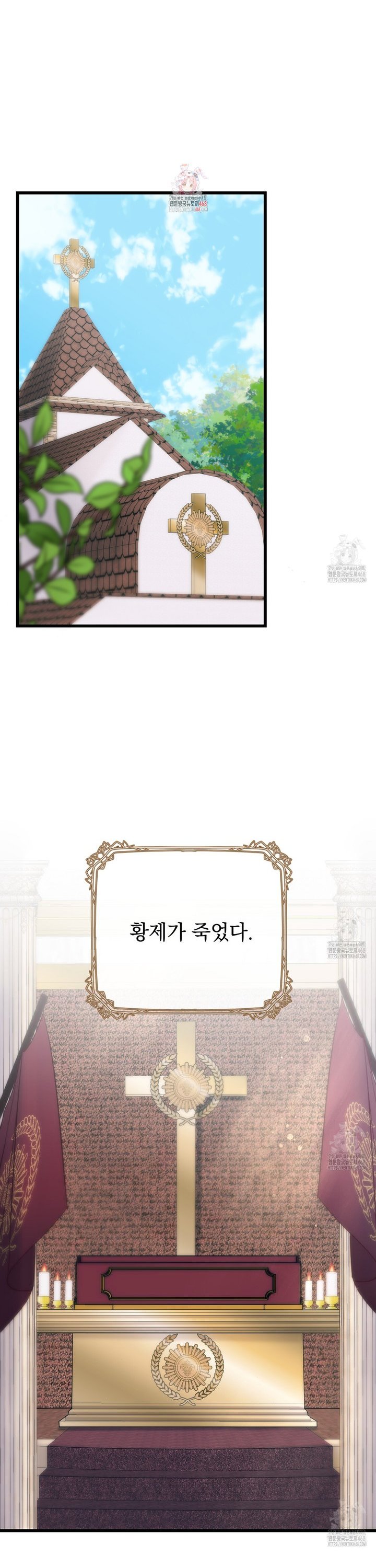 17390512908647srkpy0a2ms.jpg