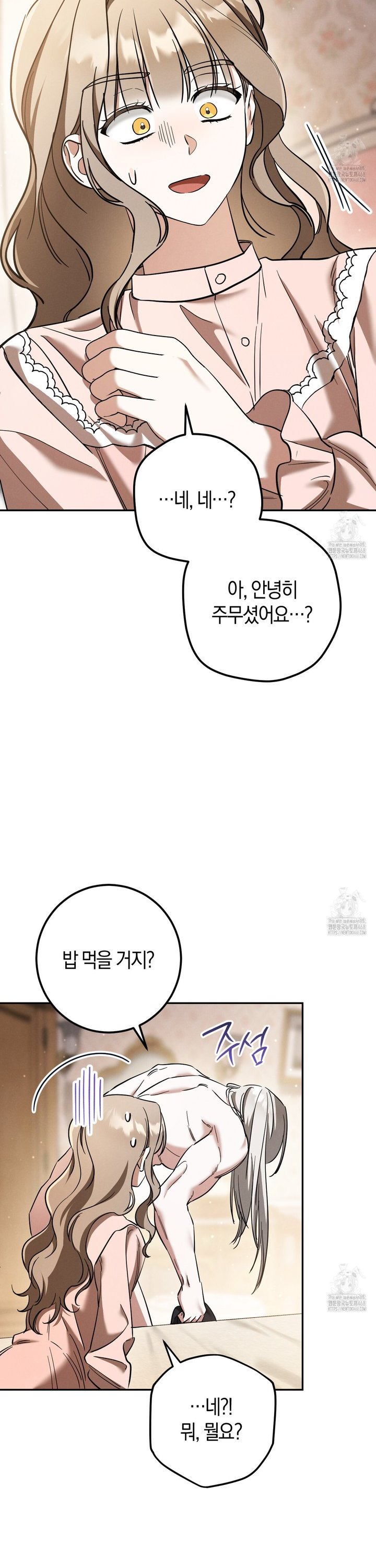 17390515299253tmpflcshib.jpg