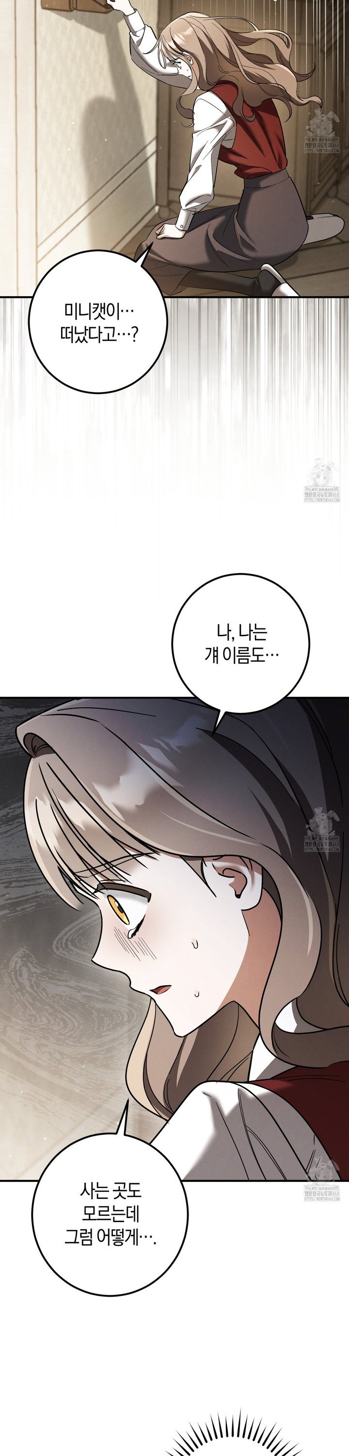 17390515381250on02kicfcf.jpg