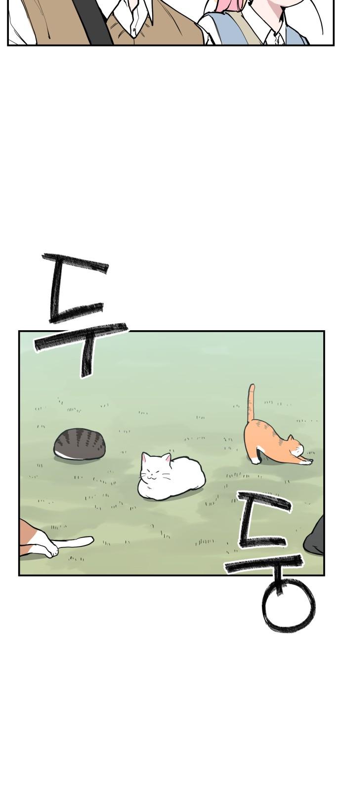 1739052564772m5iubhjp1la.jpg