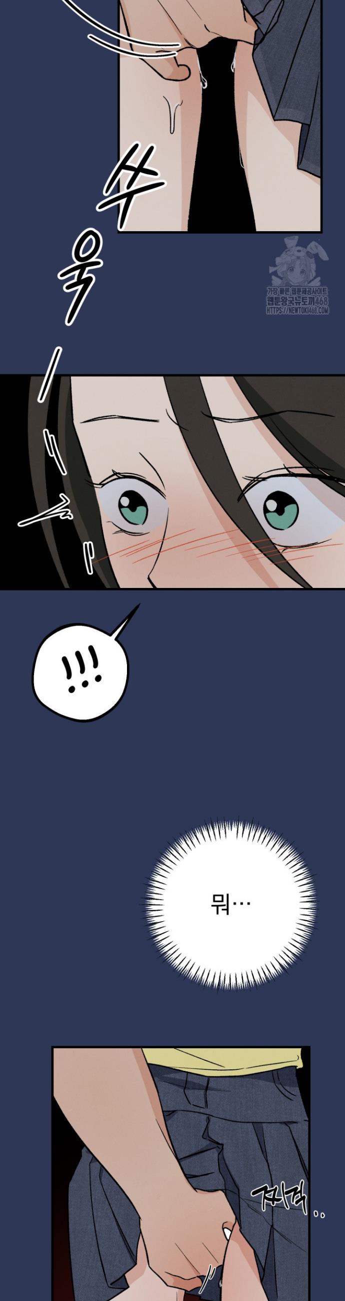 17407867418348o0hifpoaw5.jpg