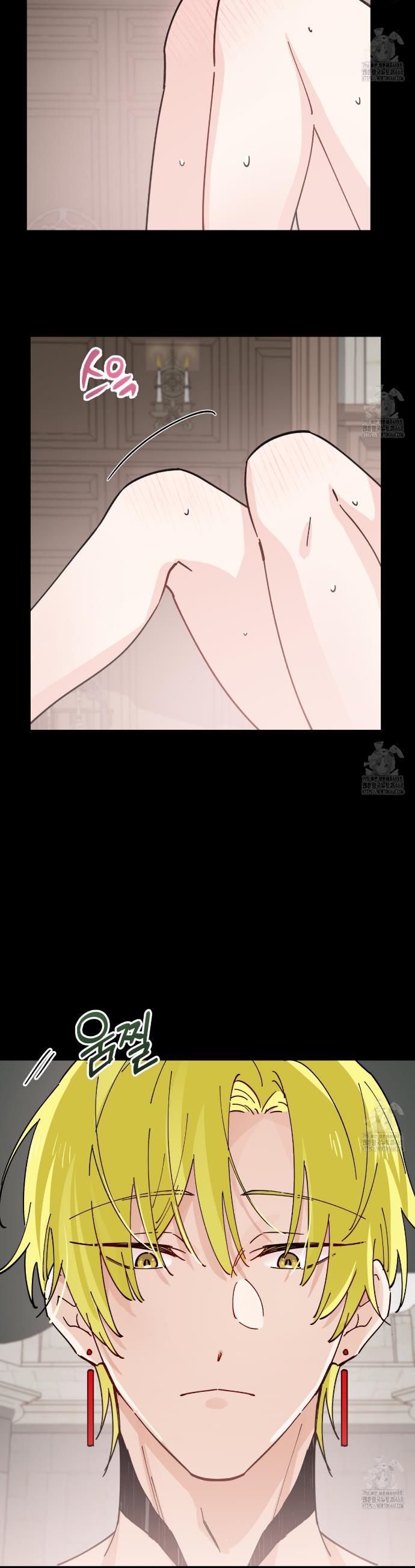 1740796932162smuoqekgti.jpg