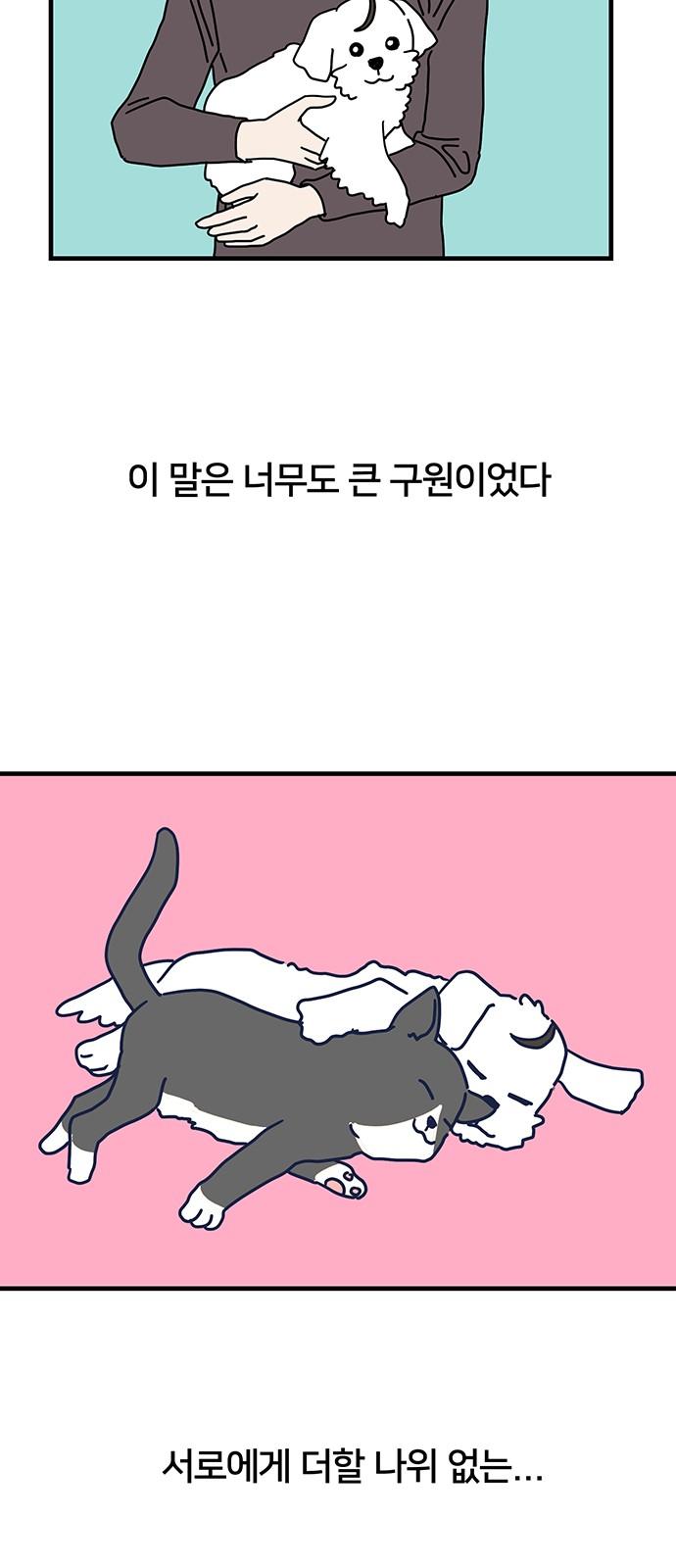 1741652050300lc9uh53lrce.jpg