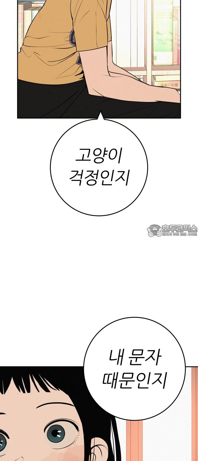 1741729539562mj9pdcl7zue.jpg