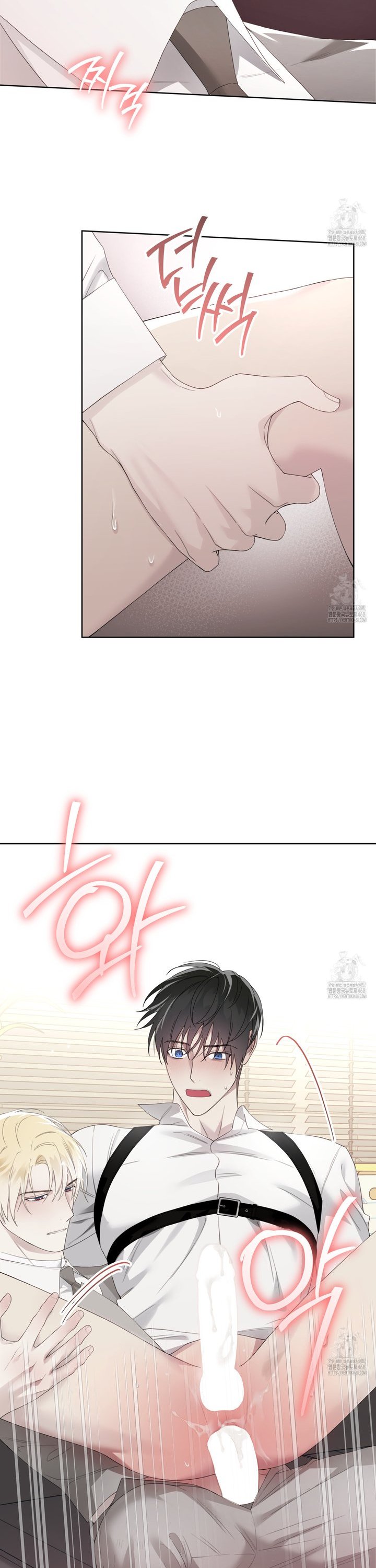 1741830440287c1eeyb9e2go.jpg