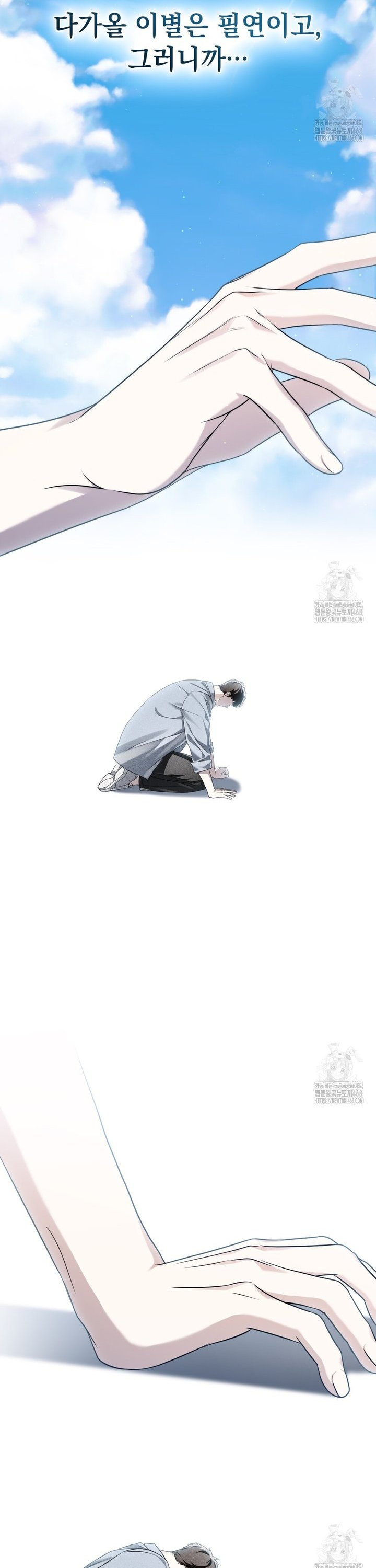 1741829914863h1lunevwjdr.jpg