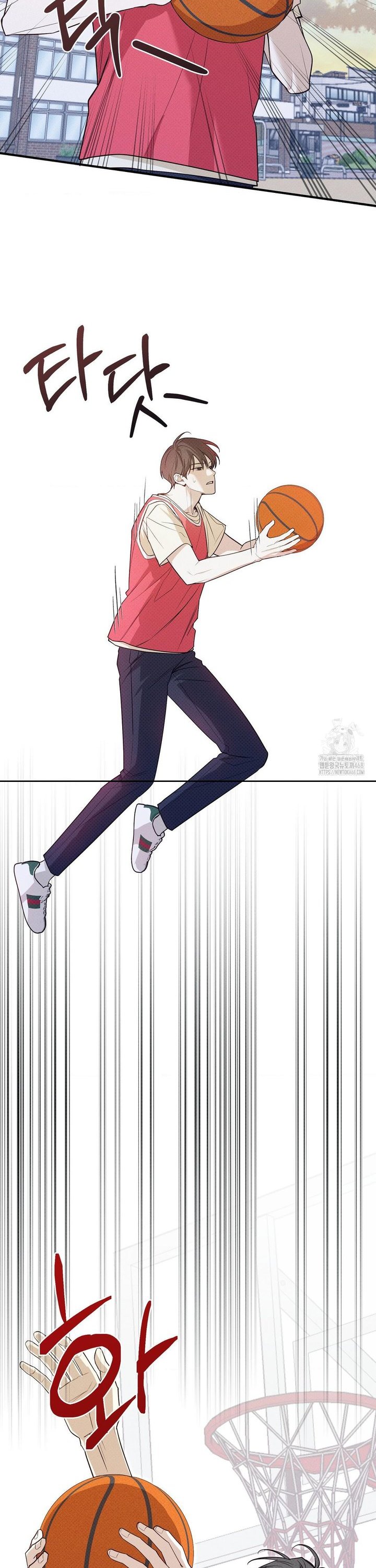1741900591470iz4jcrl9u2.jpg