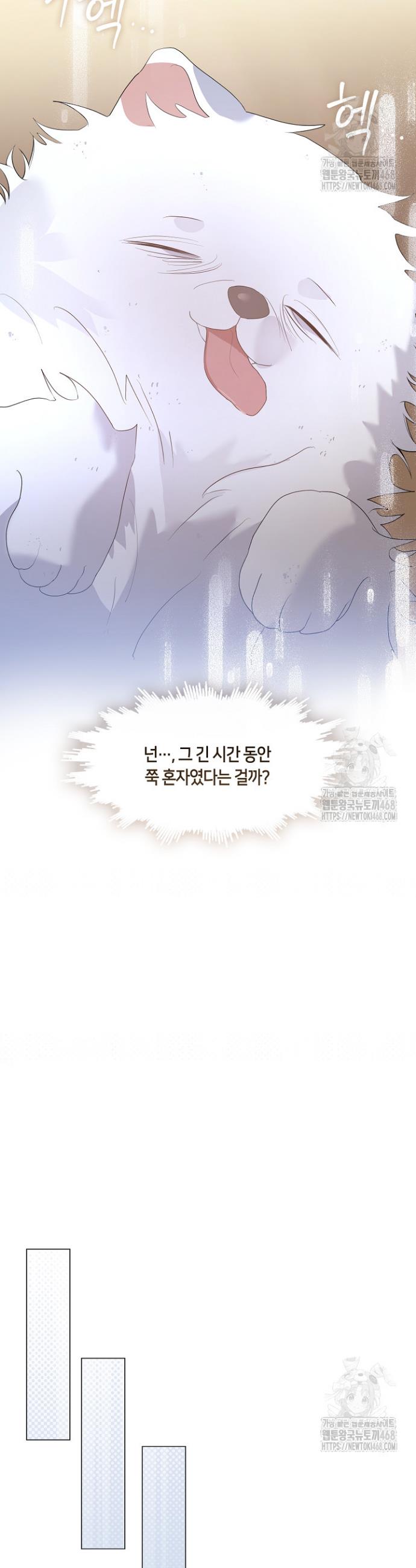 17422526461311kkt27ixcjx.jpg