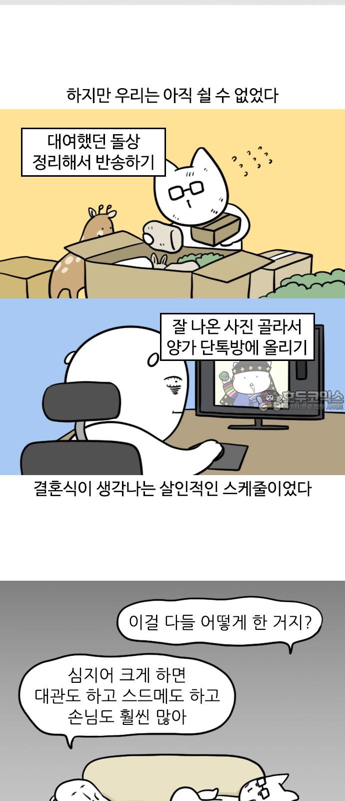1740878511853fhv0n5sa0lc.jpg