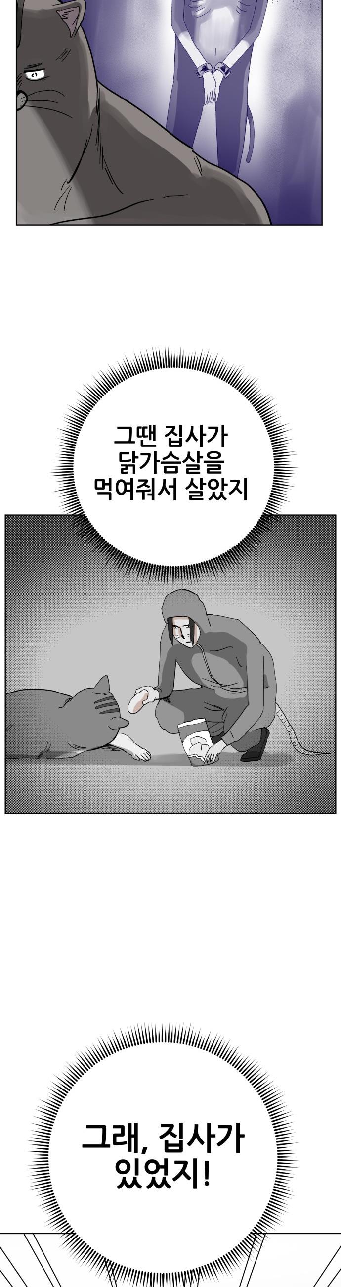 1742599417578usona8rk7x.jpg