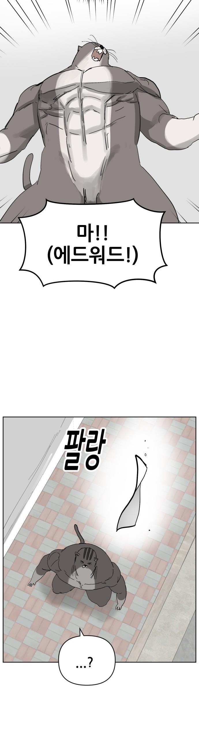 174259941773757kqq6o9nkg.jpg