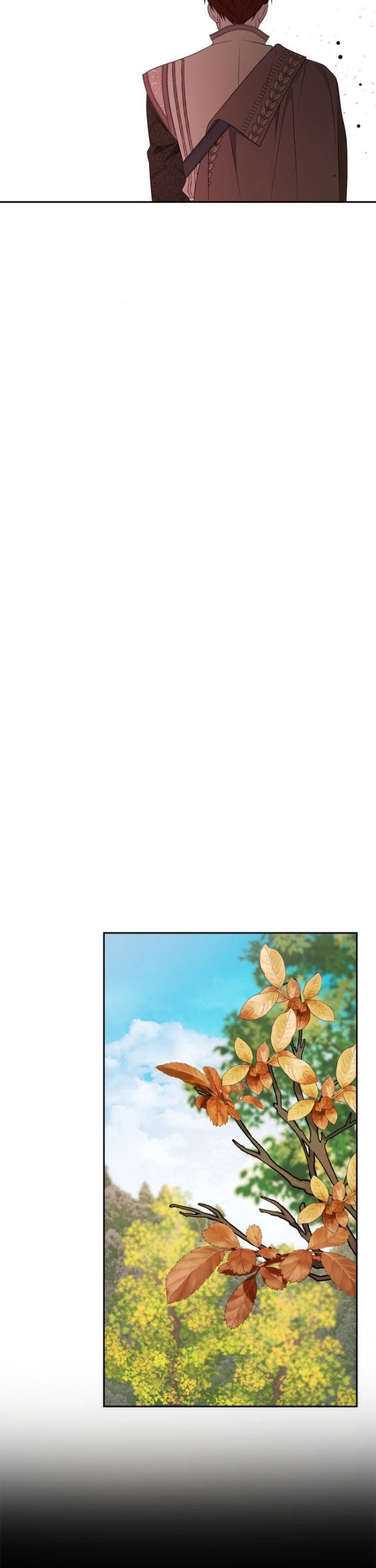 17426988474851pisr318aq3.jpg