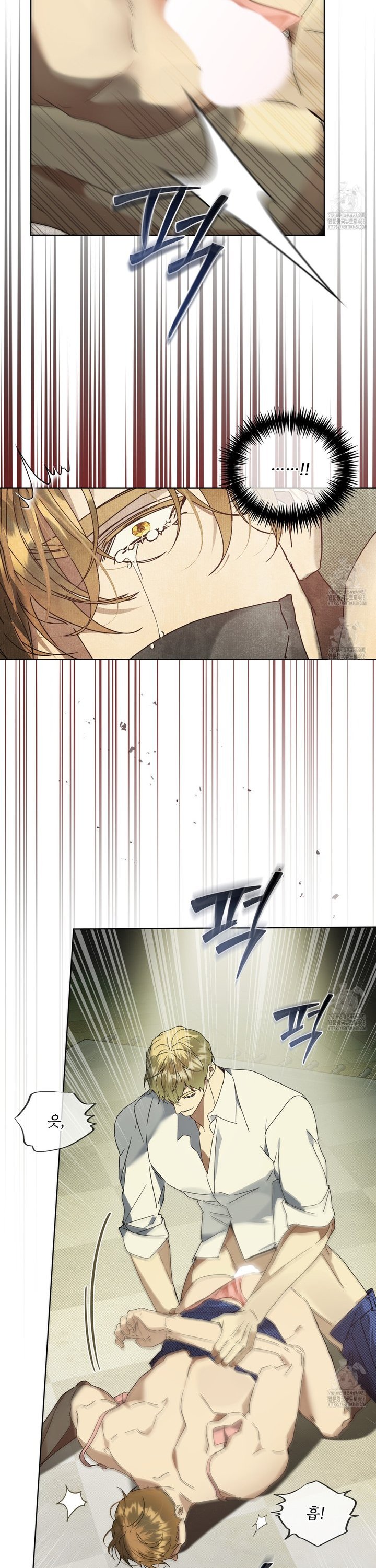 1742772956017s5eyctnbjze.jpg