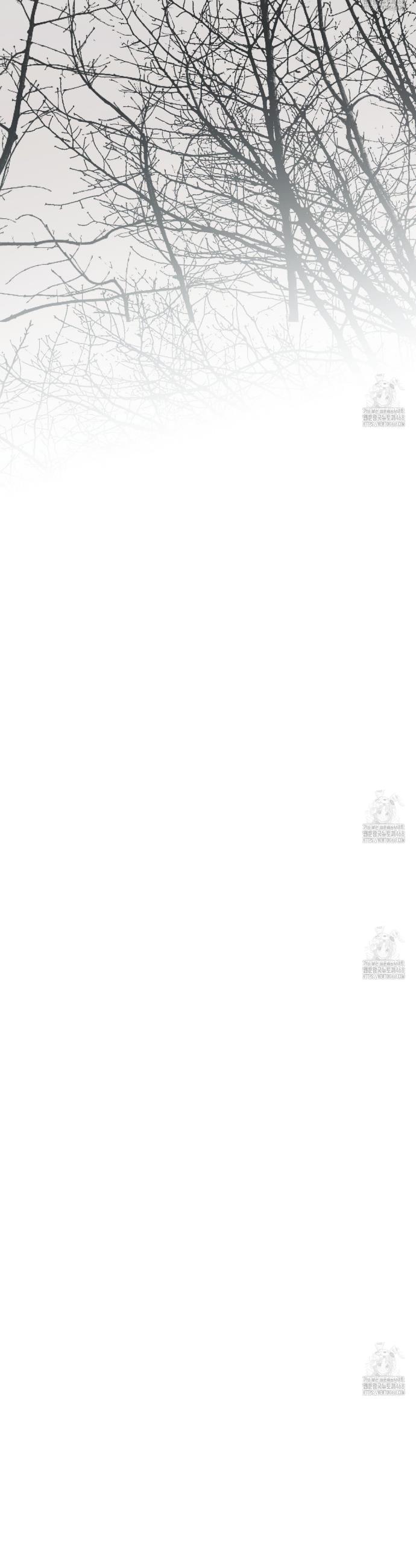 17428632274644jkf6qzov2v.jpg