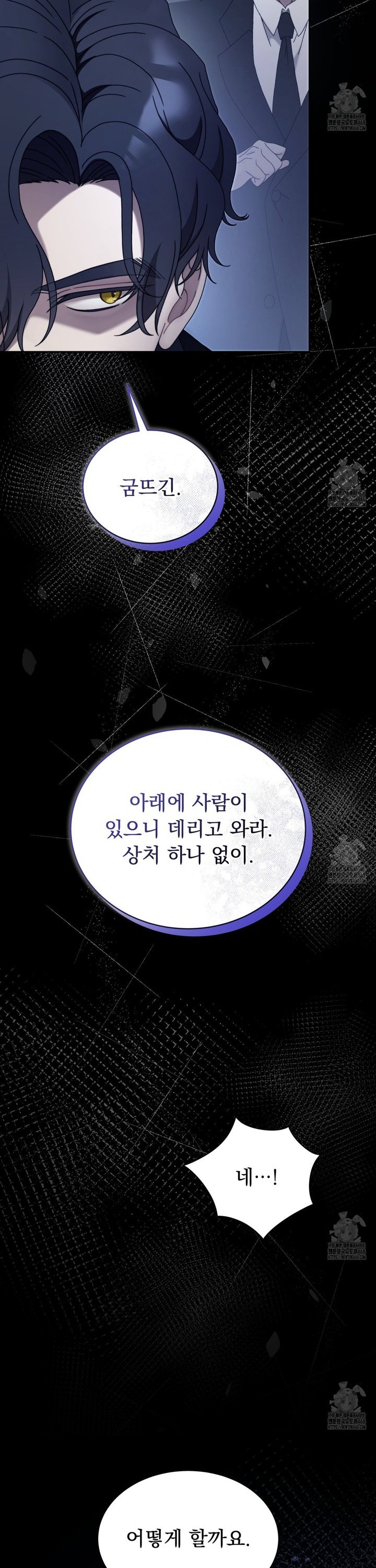 1742957074087ygkd3jl4gtq.jpg