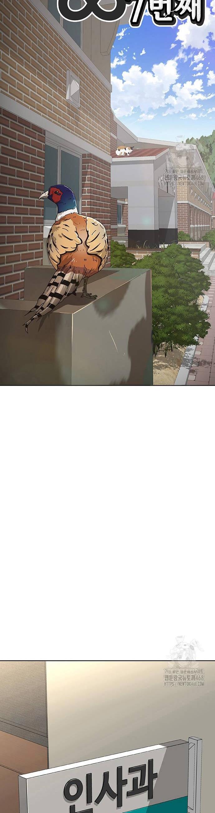 1743209231356ggwro90lfzs.jpg