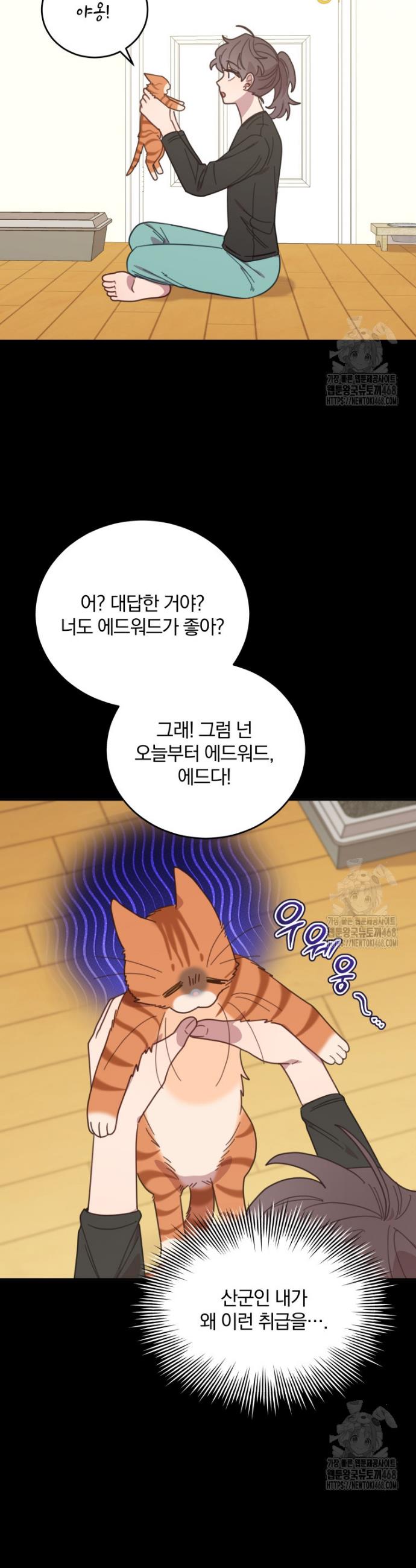 1743198525071qple1scq3n.jpg