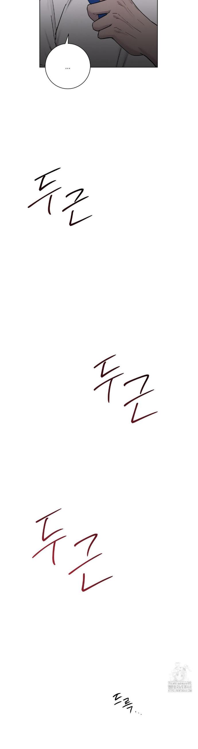 1740930655394npyjt00e07.jpg