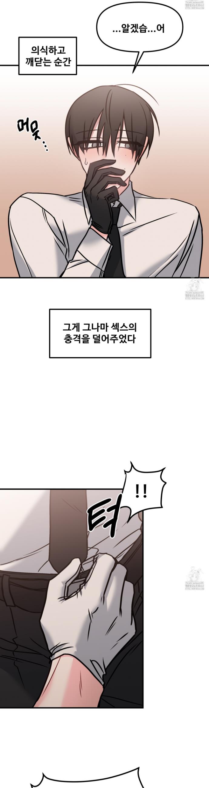 1743377596790x66nzgn3py.jpg