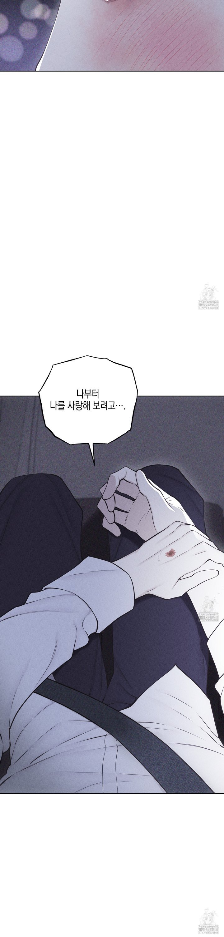 1741125121322v3pyb3piov.jpg