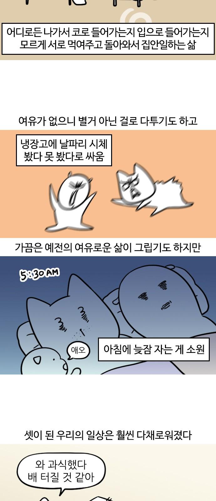 17412152717374cads1gipfb.jpg