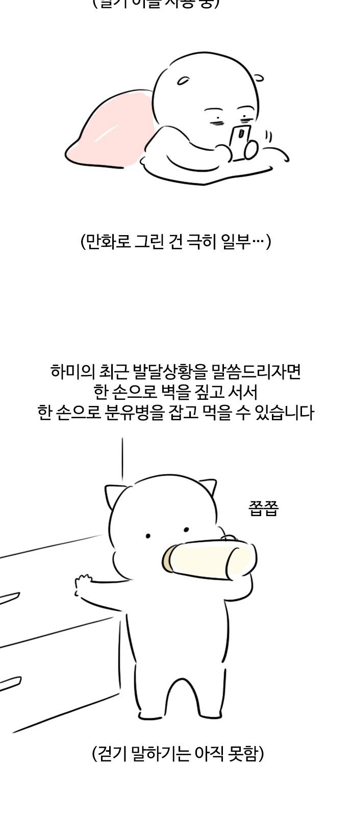 1741215272680jehb0465ni9.jpg