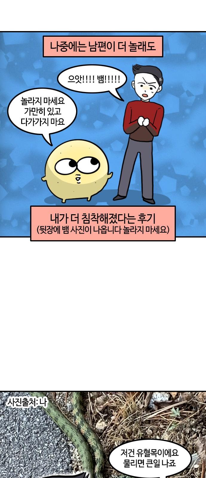 1741298137436q62fz8u8din.jpg