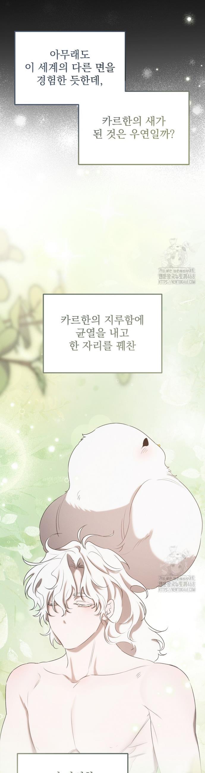 1741312751536ypndu2pctl.jpg