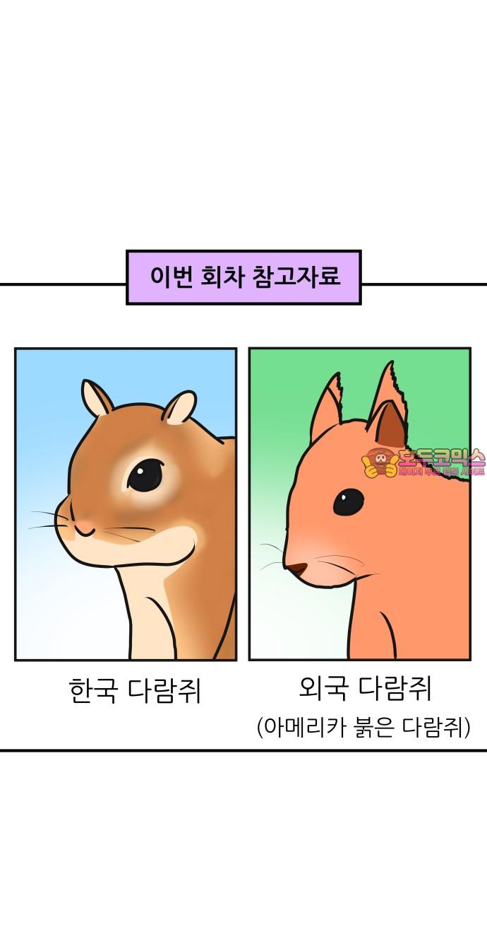 17413842804852bx8sj64vom.jpg