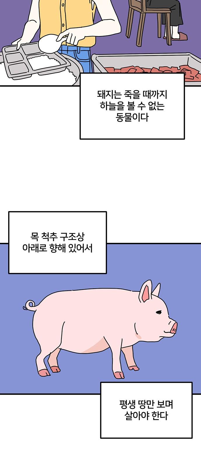 1743434979279xg26gcrgxt.jpg
