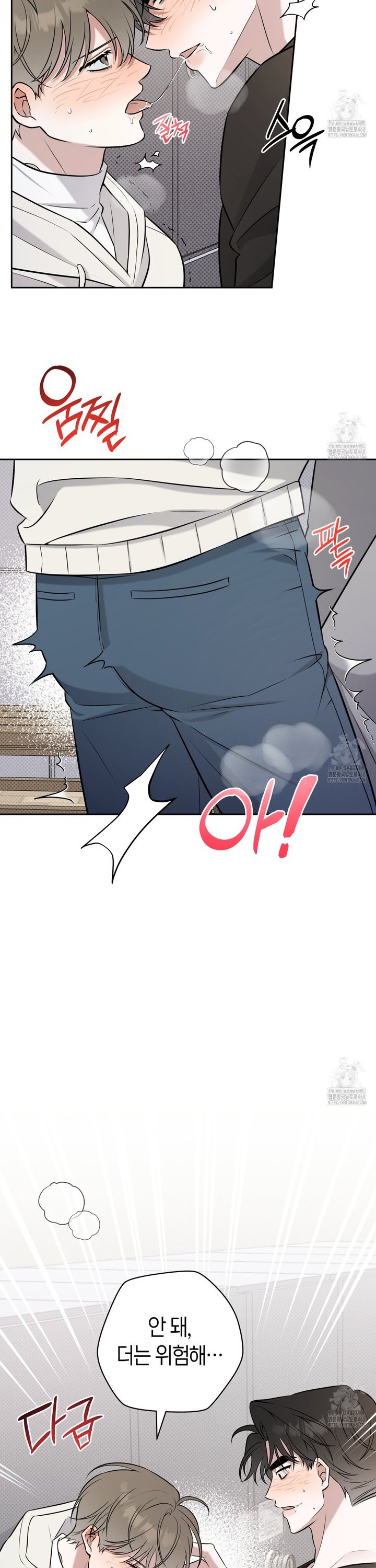1744241488153kkiwk0dxi4h.jpg