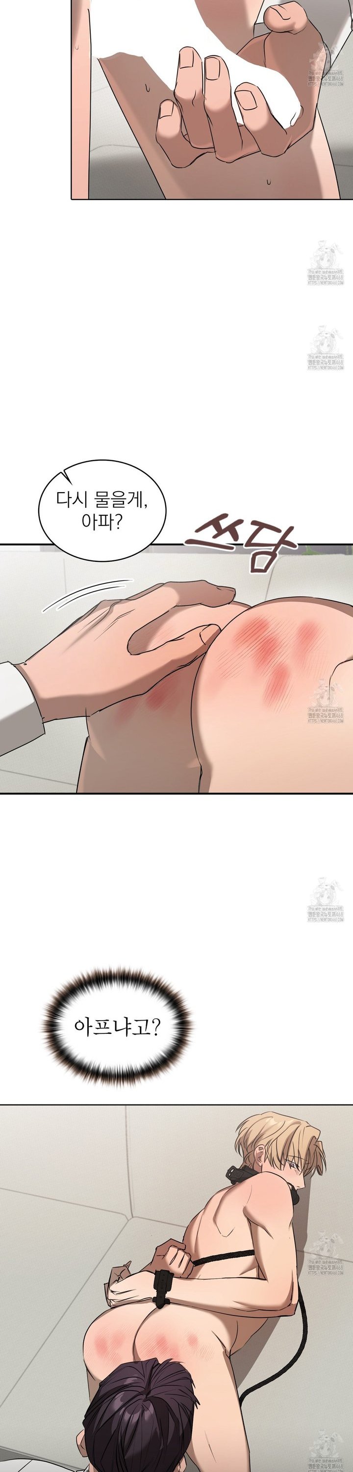 1744244367701ikoxppobfuk.jpg
