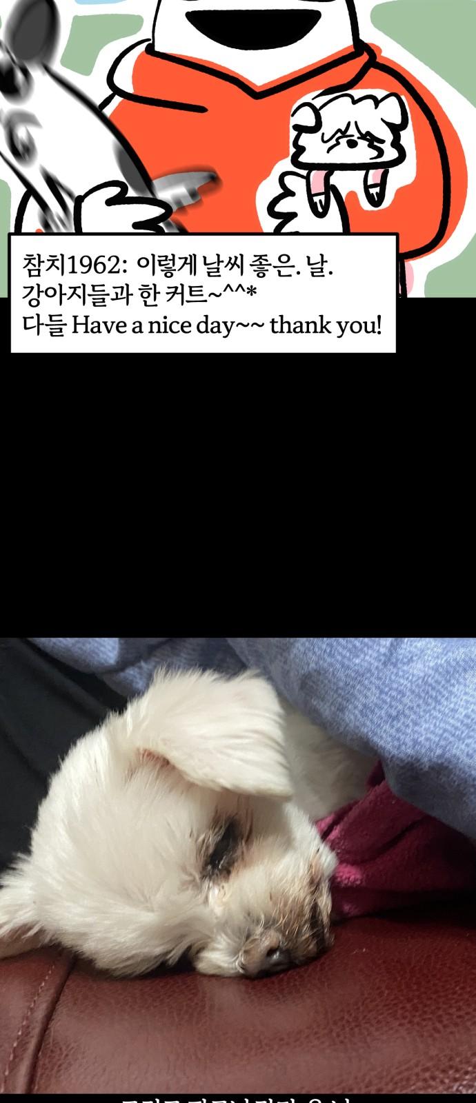 1744324557275lpj9o4cqo0e.jpg