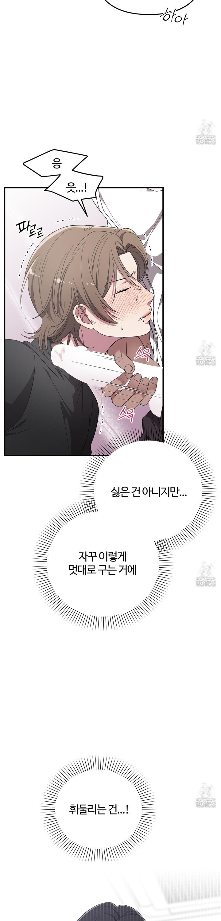 1744328216708goh9r4btzeu.jpg