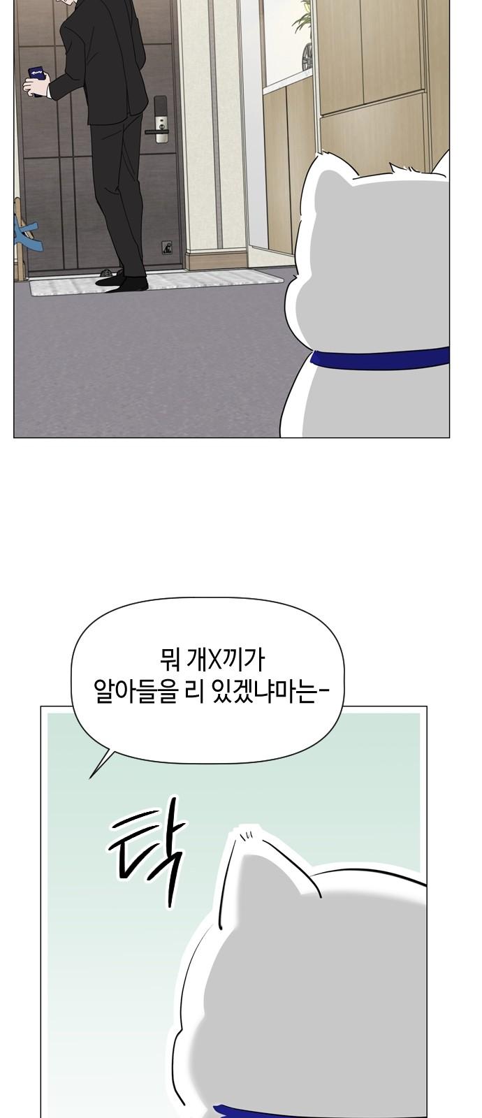 1744407465145husl3zg8lzs.jpg